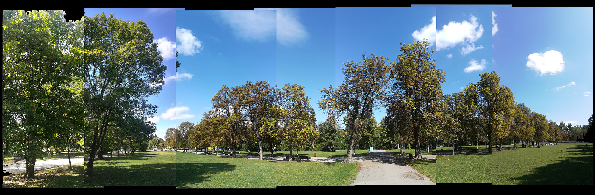 Борисова градина